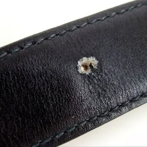 Celine | Accessories | Auth Celine Sulky Buckle Reversible  display picture 2